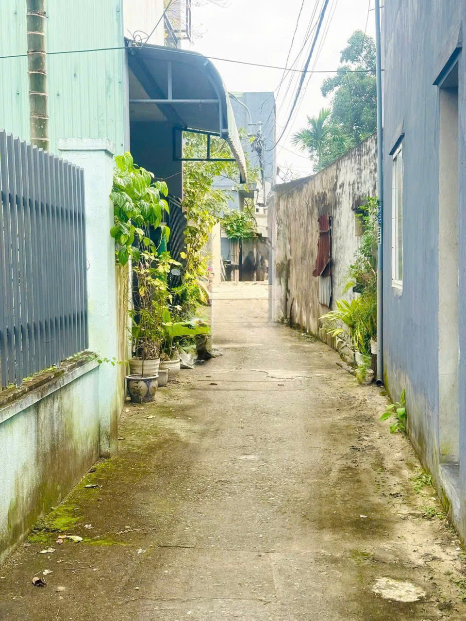 📌📌📌LÀM VIỆC TRỰC TIẾP GIÁ TỐT !!! Bán đất kiệt 189 Bình Thái 4, Hòa Thọ Đông