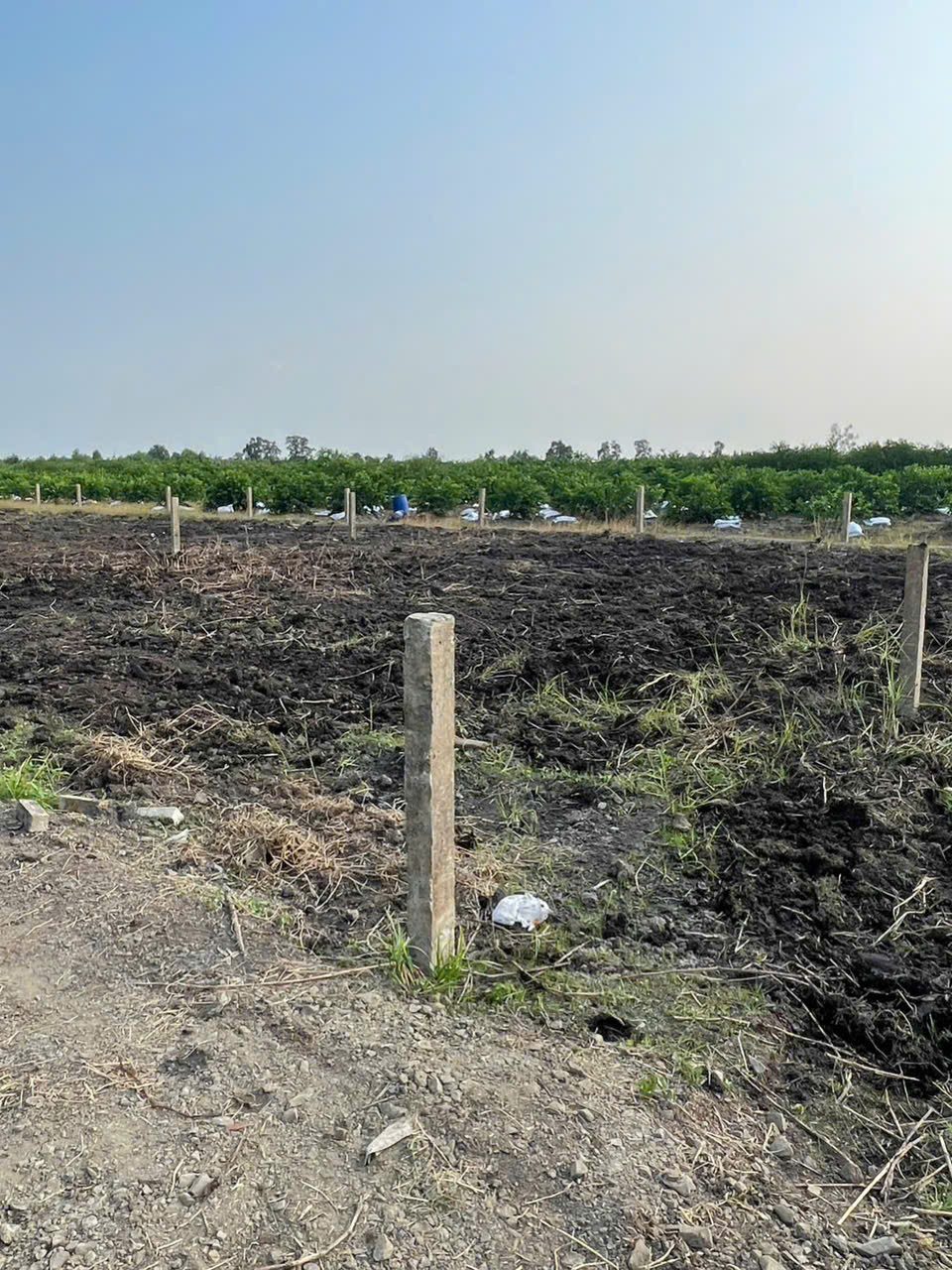 Đất vườn 1 Lô duy nhất 600m2 giá 240 triệu