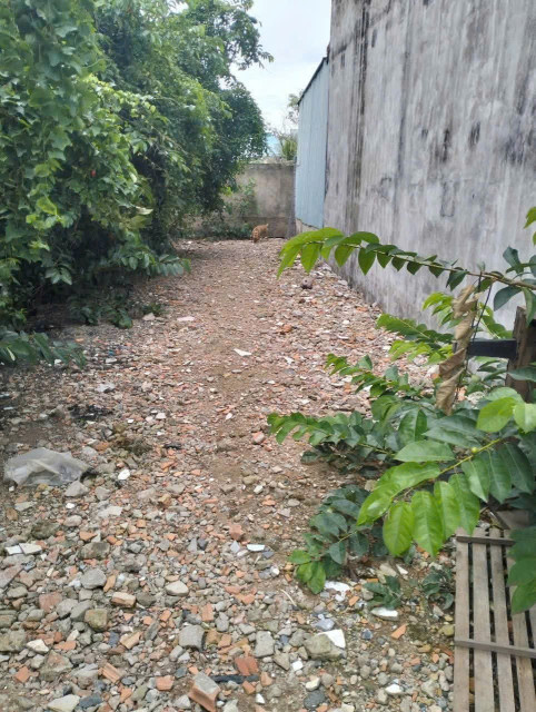 Bán đất 5x30m thổ cư, 1/ Bờ Chùa, Tân Quý Tây, giá đầu tư