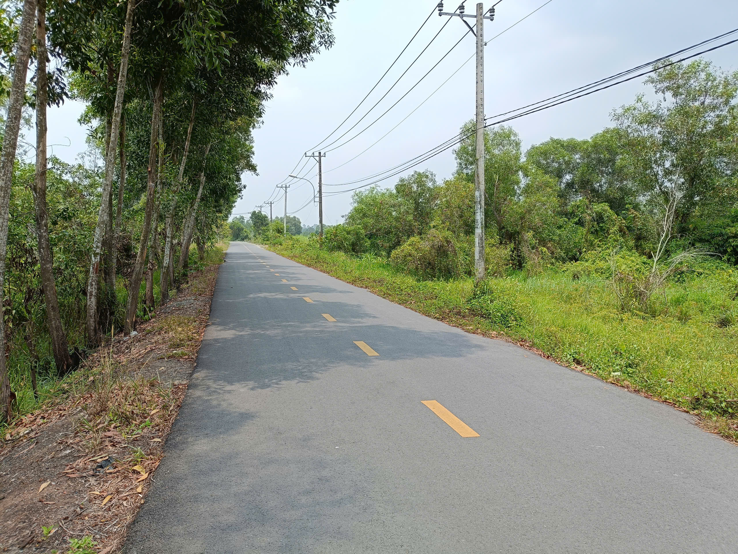 (Đã Bán) Bán Đất Vườn Giá Rẻ Xã Phú Hoà Đông, Củ Chi, 4621m² Giá Chỉ 2.1 Tỷ