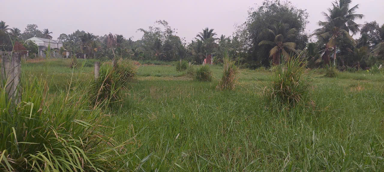 Bán đất thổ
Giá bán: 600 triệu (thương lượng)
