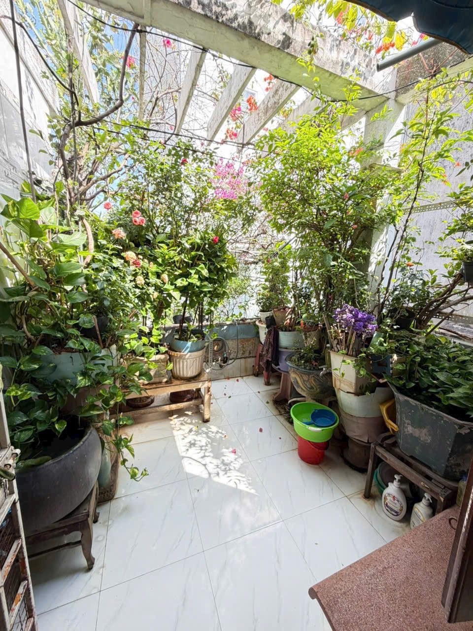 🏡 Tân Bình giờ tìm nhà hơn 6 tỷ mà hẻm xe hơi tới tận nhà , lô góc , không lộ giới , 3 tầng đúc thật , sổ hoàn công đủ… liệu tìm ra được mấy căn- Chỉ 6ty5 - shr-  hoàn công đủ
