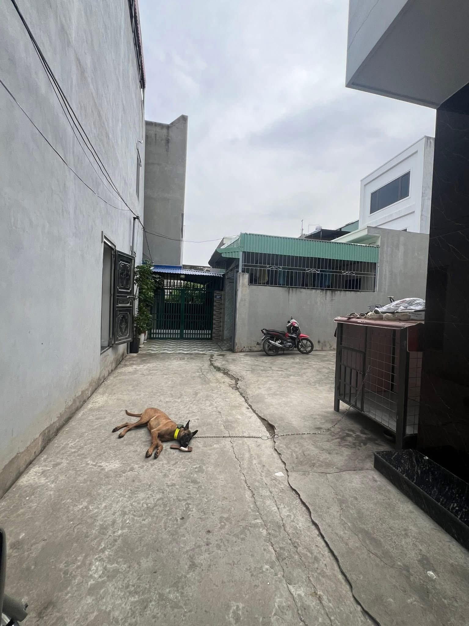 🔥 BÁN LÔ ĐẤT 2 MẶT NGÕ CỰC ĐẸP – CAM LỘ, HÙNG VƯƠNG, HỒNG BÀNG, QUY HOẠCH TIỀM NĂNG 🔥