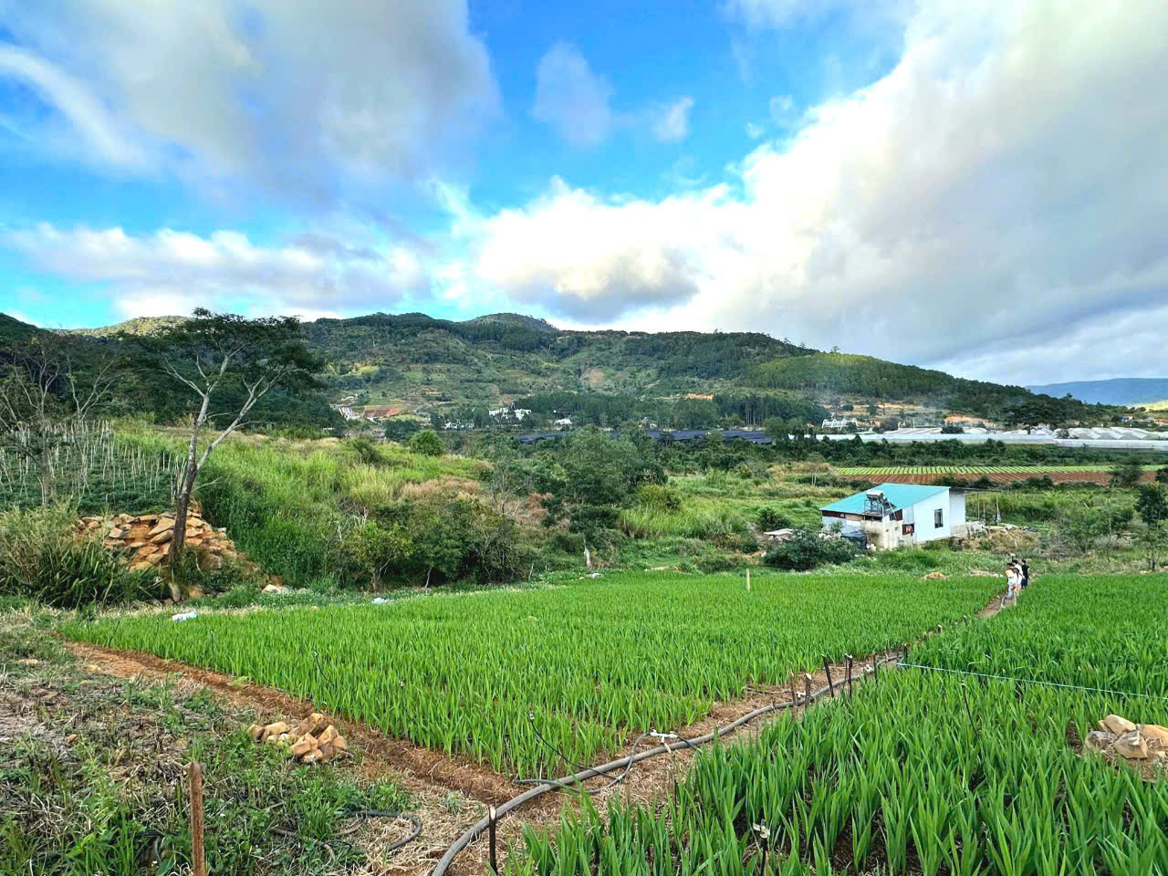 Bán đất view đẹp gần KDL Núi Voi Hiệp An, đi trung tâm Đà Lạt hơn 10km