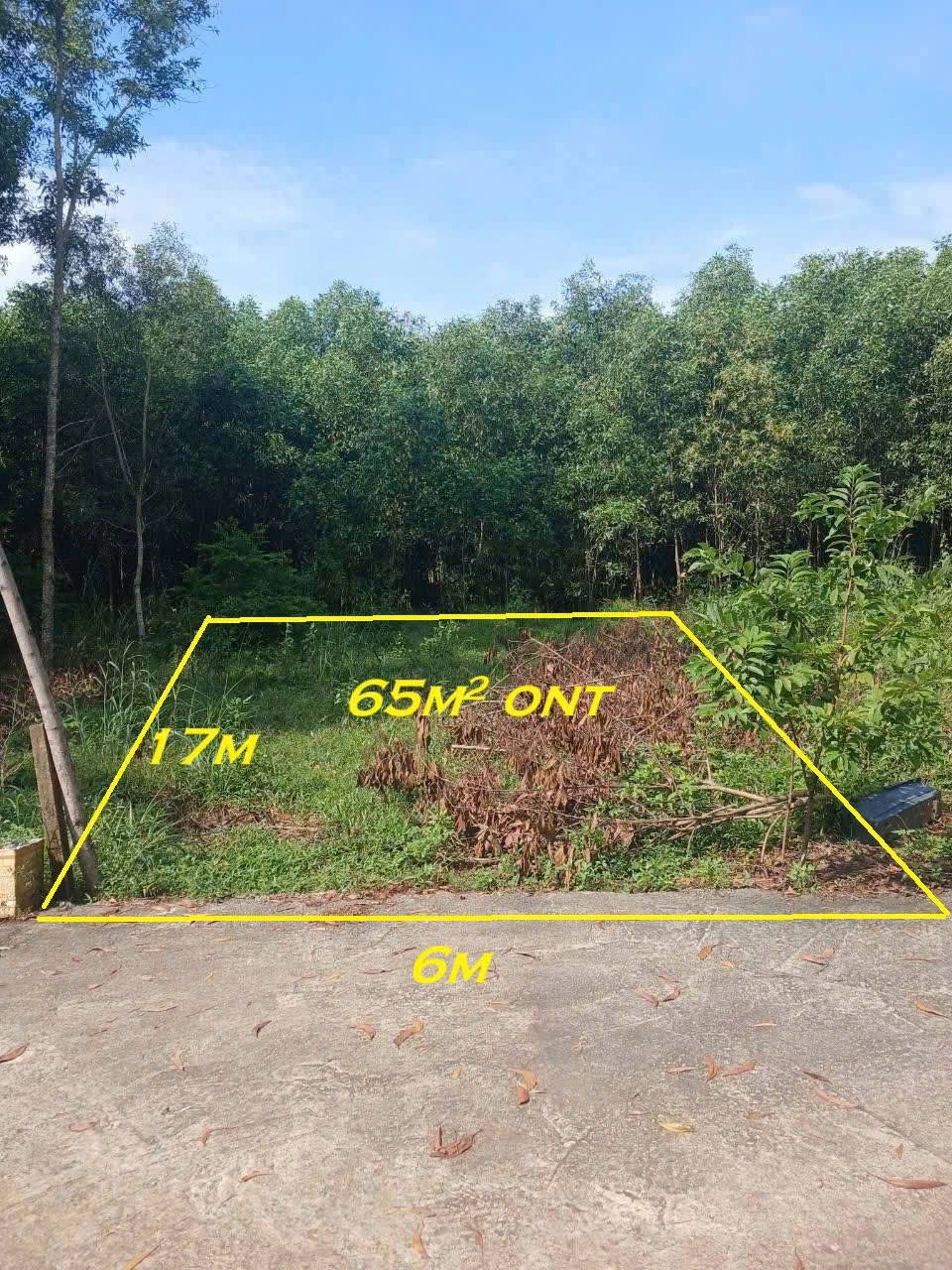 🏡 BÁN LÔ ĐẤT NỀN DỐC CÂY DẦU, xã PHÚ HỘI (cũ) – NHƠN TRẠCH , ĐỒNG NAI🏡