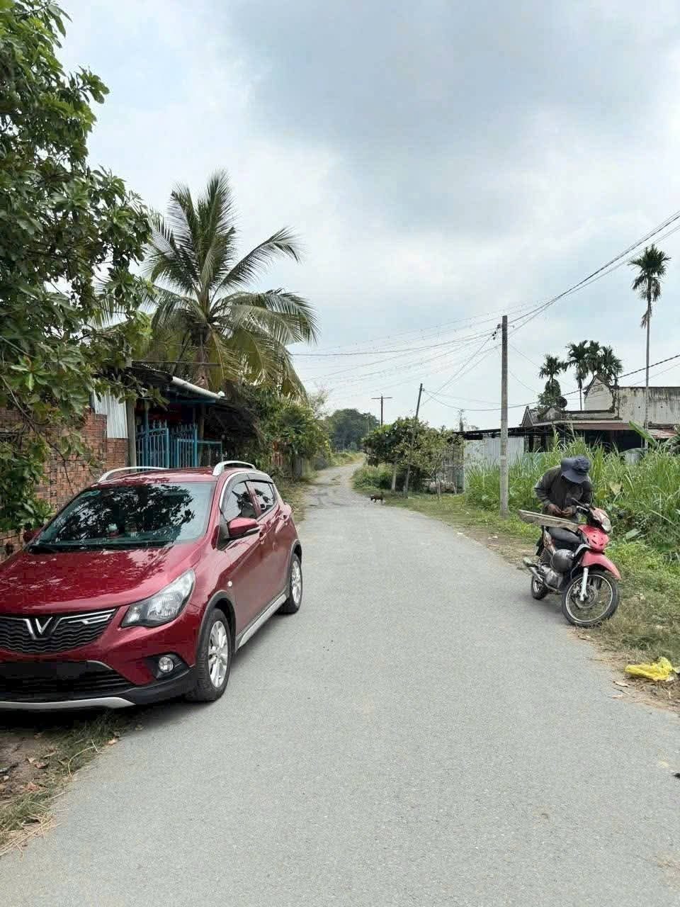 Bán đất 1/Cây Gõ trung tâm xã An Nhơn Tây Củ Chi TPHCM, DT: 235m2.
