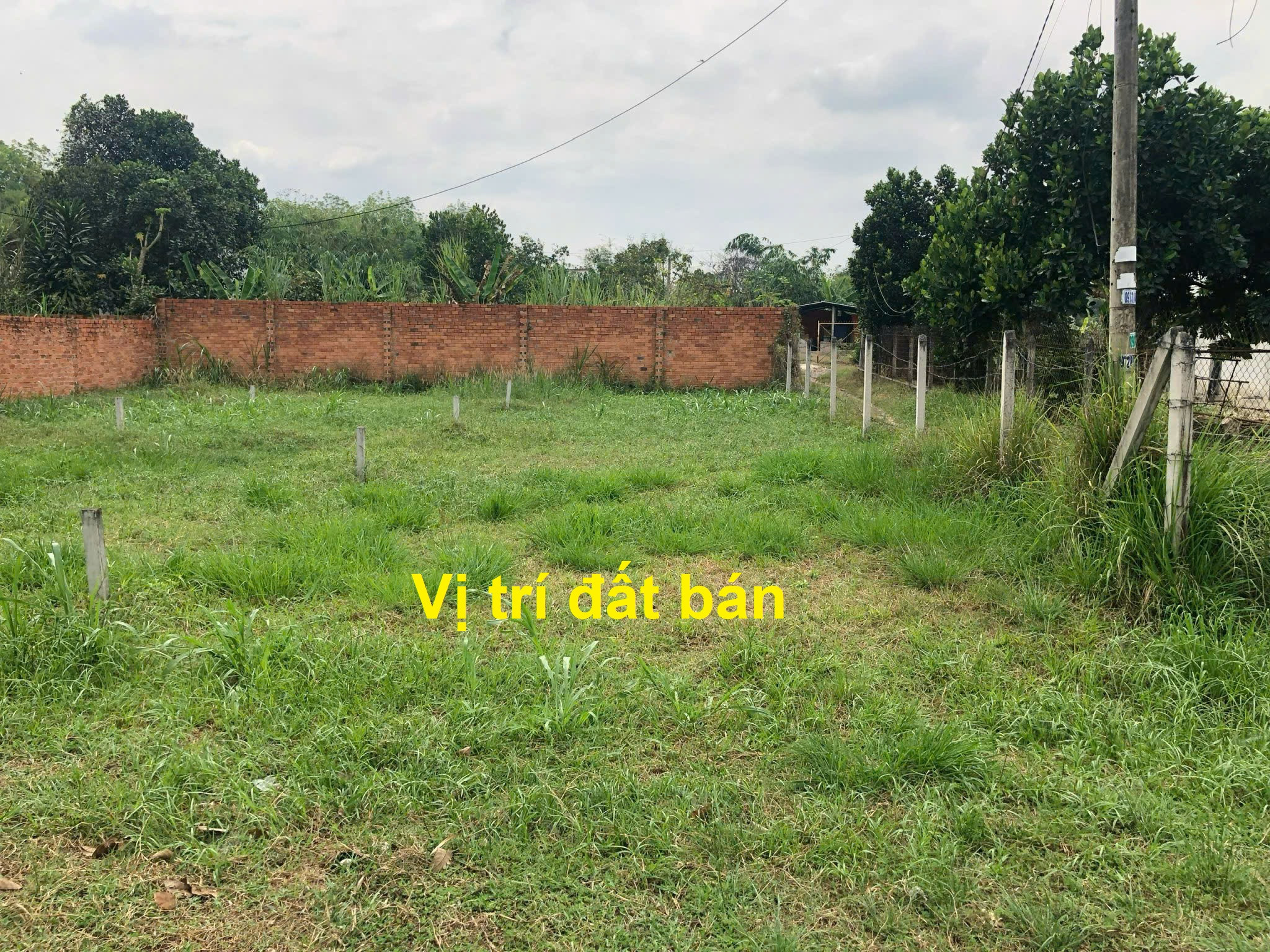 BÁN ĐẤT MẶT TIỀN ĐƯỜNG CÂY GÕ, XÃ AN PHÚ, CỦ CHI – 203m², THỔ CƯ 115m² – GIÁ CHỈ 2 TỶ