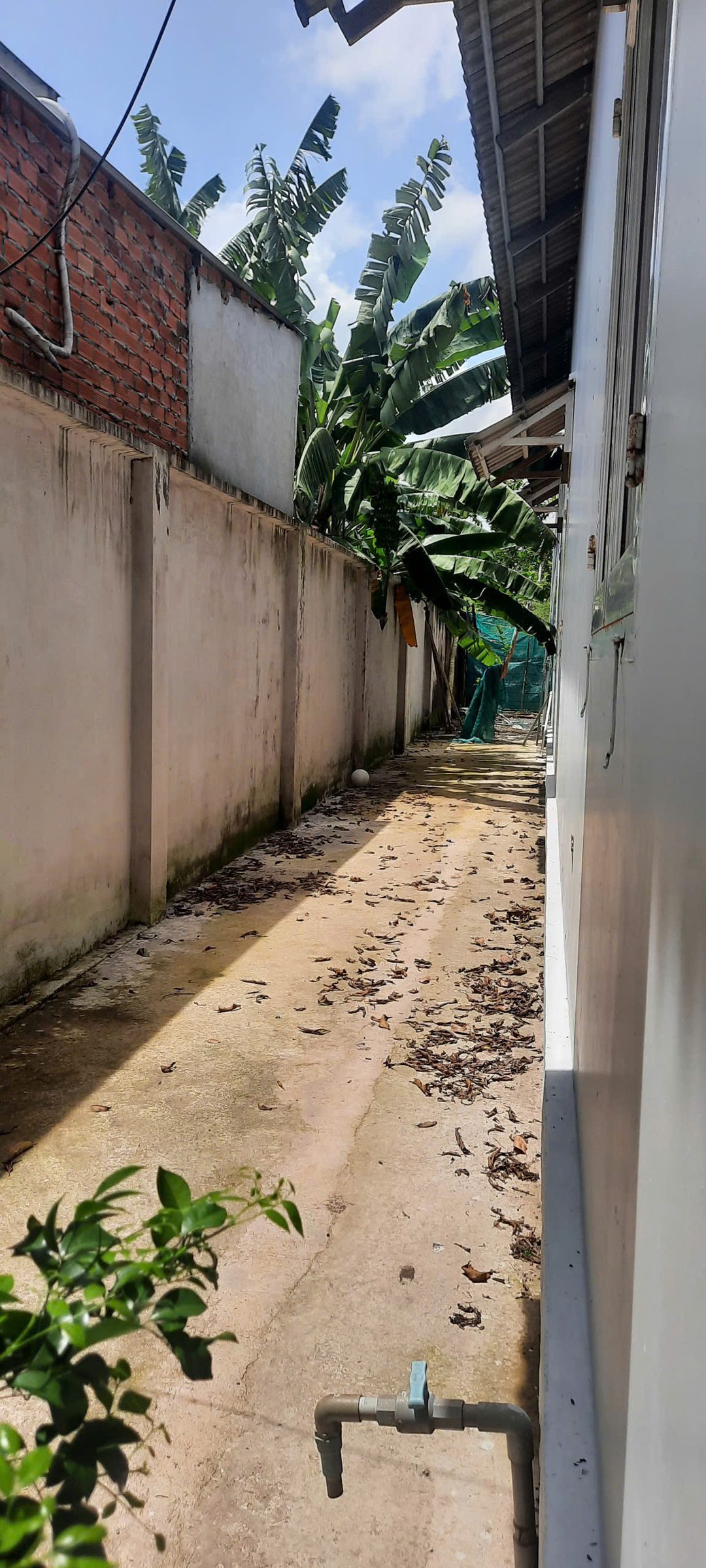 Bán đất 1488.4m² có sẵn 300m² thổ cư ngang 26m giá 11.9 tỷ tại Đường Cây Trâm Xã Tân An Hội