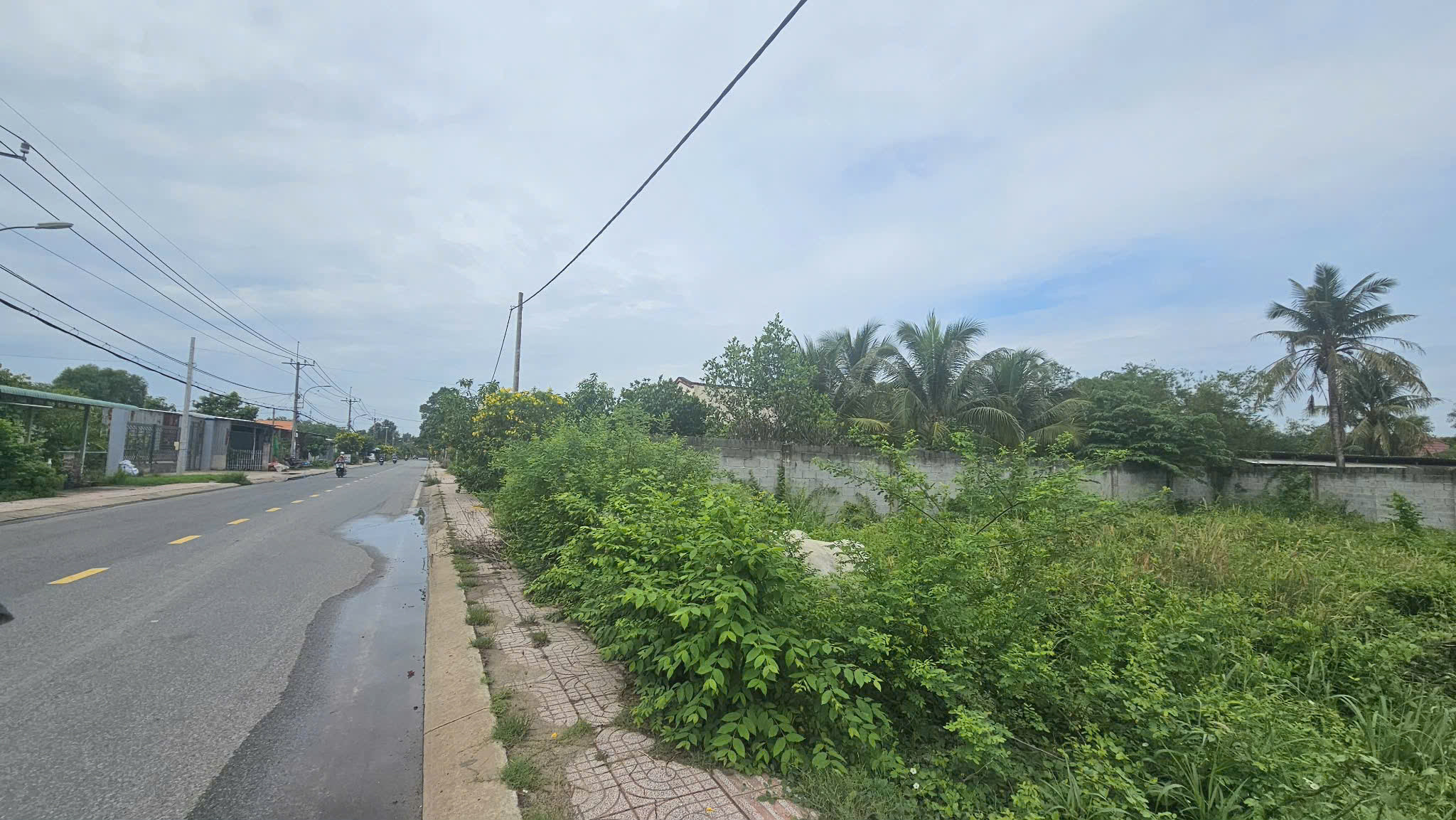 Bán Đất 731m² thổ cư 100m² giá 1.3 tỷ tại Đường Cây Trôm Thị trấn Củ Chi Huyện Củ Chi TP. Hồ Chí Minh
