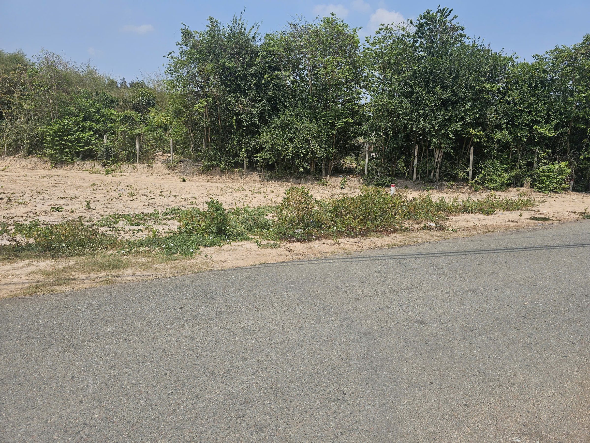 Bán lô đất vườn 874m2 ngay cây trôm , sổ sẵn , đường nhựa 12m , sổ riêng, đúng giá 1 tỷ 9