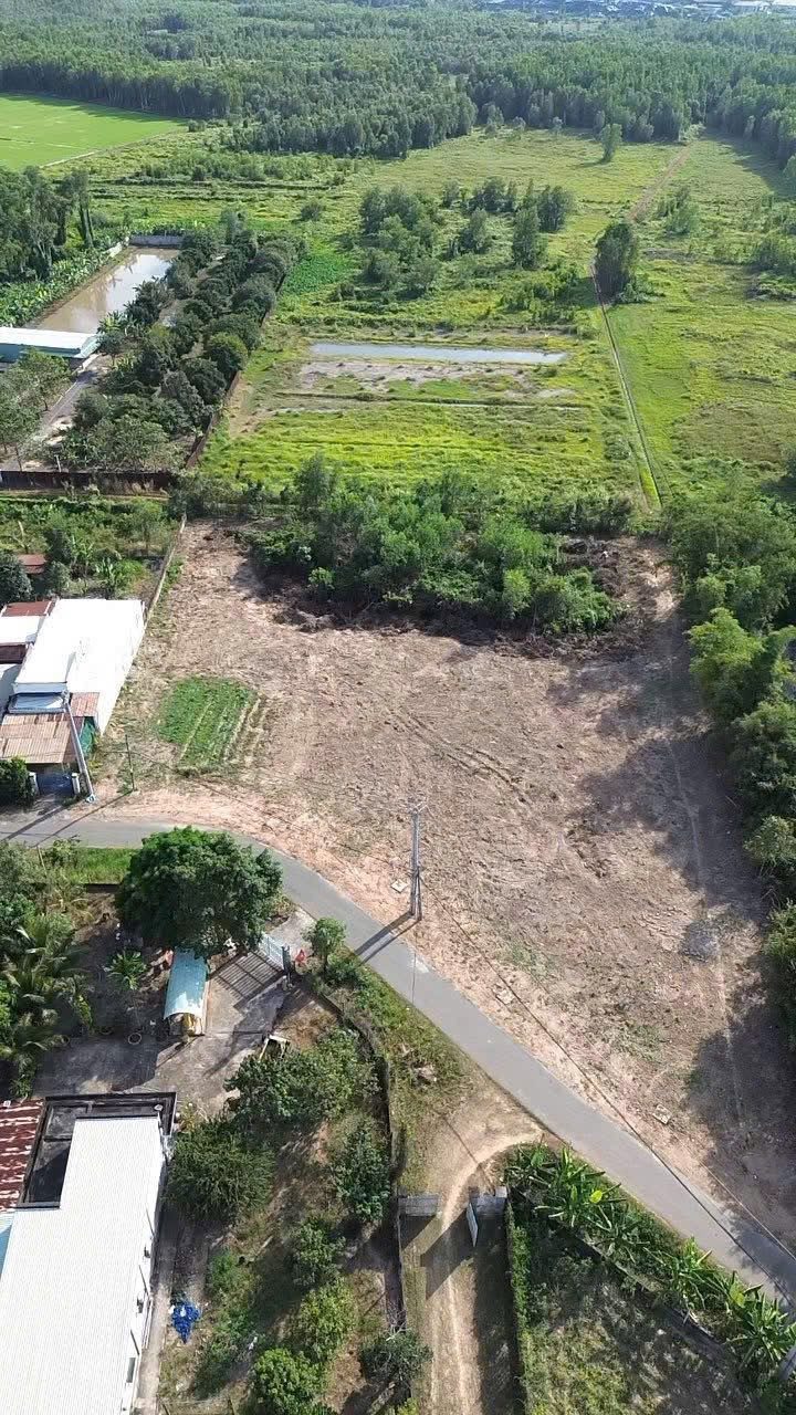 🔥 BÁN ĐẤT VƯỜN DIỆN TÍCH LỚN – GIÁ TỐT TẠI THÁI MỸ, CỦ CHI 🔥