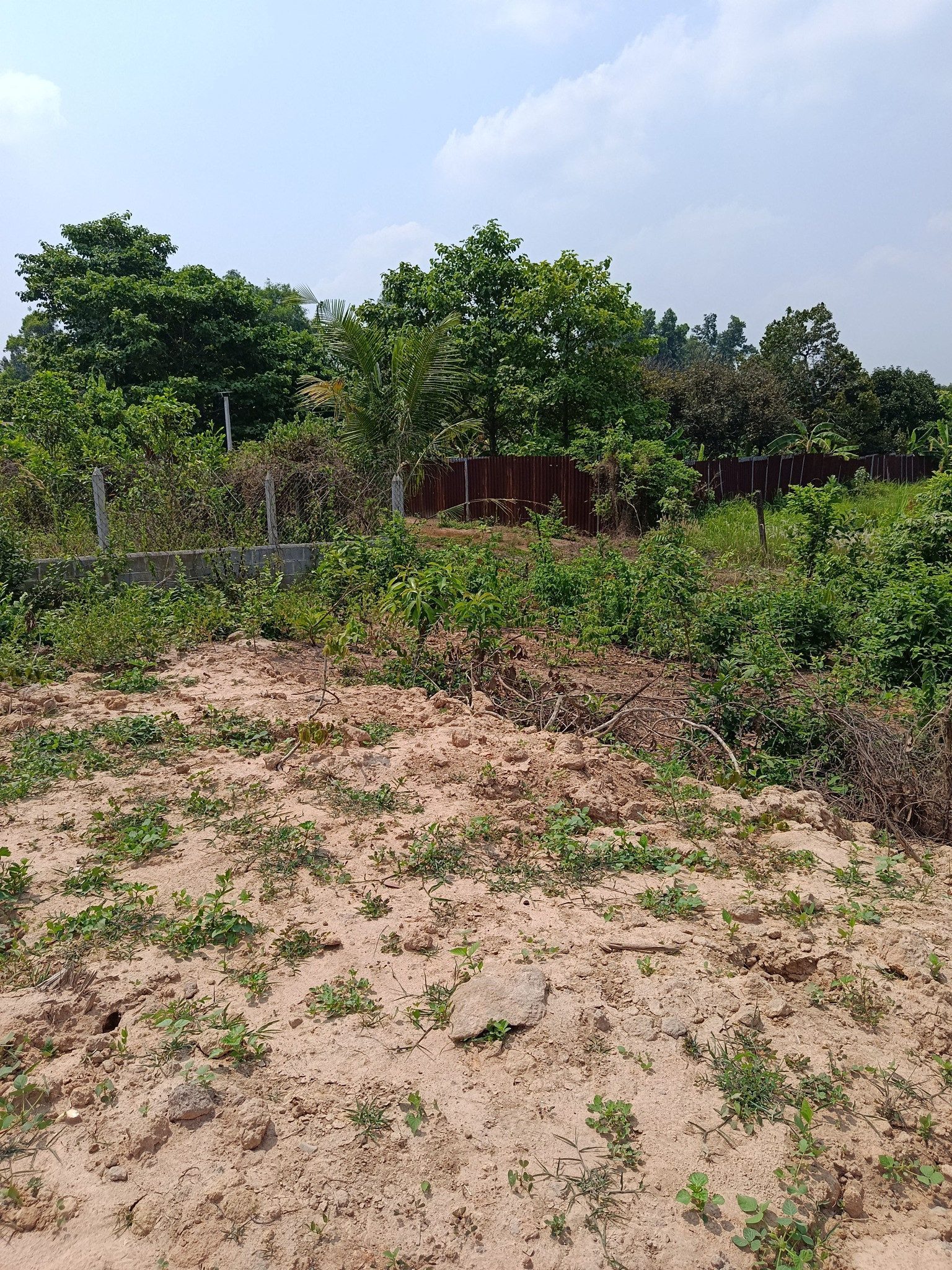 Anh chị tìm đất diện tích lớn giá tốt thì chốt ngay lô này
2tr3/m2
 dt 1000m2 sổ riêng có thể lên thổ cư ngay 
Đường nhựa đẹp 
bao quanh Vin HM và Vin Tân Mỹ 
Đất vườn thoáng, dễ làm nhà vườn nghỉ cuối tuần
Sổ riêng chính chủ.