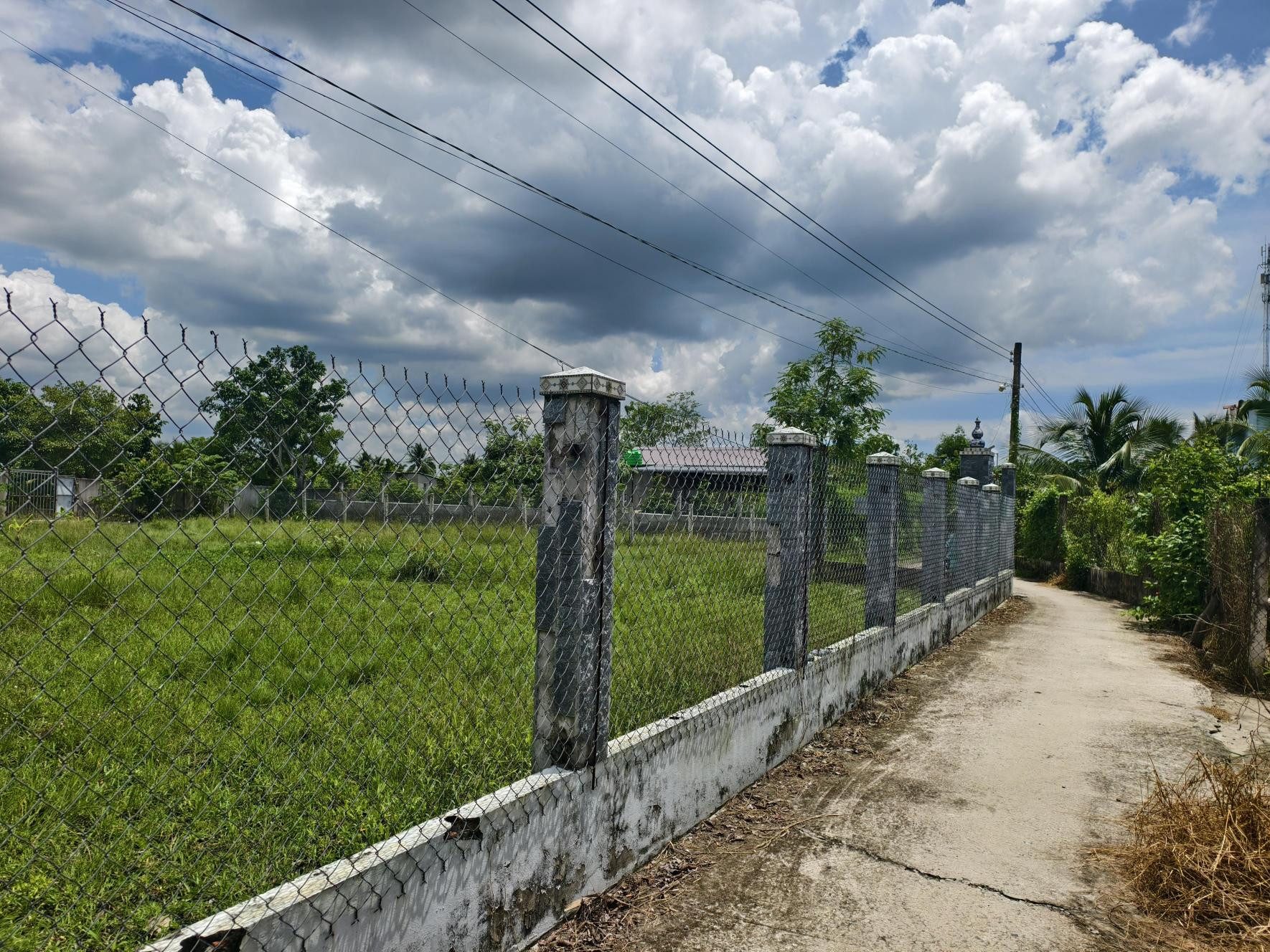 Bán đất thổ cư 259m2 (8x32m) hẻm Châu Thị Kim, An Vĩnh Ngãi, TP Tân An - SHR. YLinh