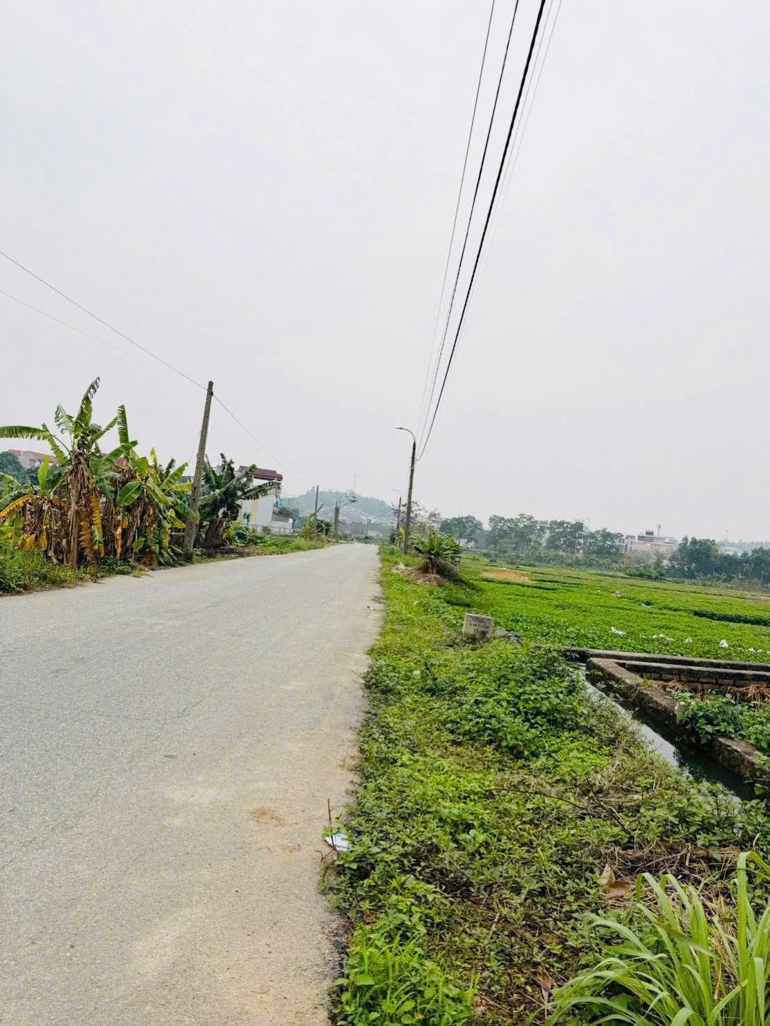Đất Phường Kim Chân, Bắc Ninh 180m2 MT8m Giá nhỉnh 4 tỷ