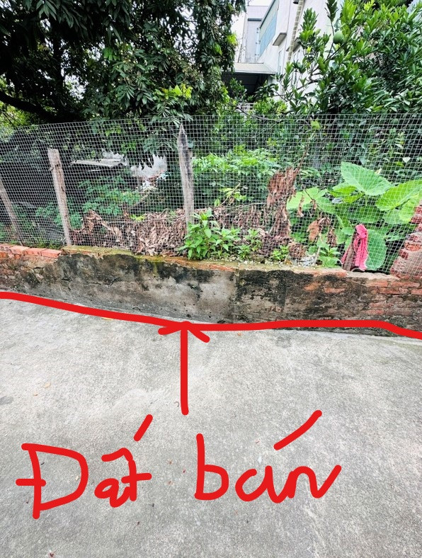 BÁN ĐẤT ĐẸP CỔ BI, GIA LÂM - CHỈ HƠN 3 TỈ, VỪA KHUÔN TIỀN - MUA XÂY NHÀ Ở HAY ĐẦU TƯ ĐỀU ỔN.
