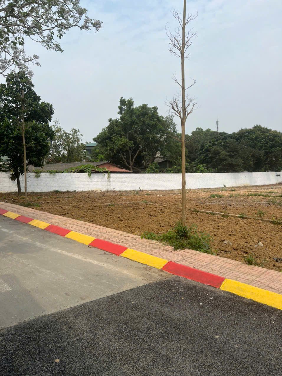 👉 Đất Cổ Đông 104.5m² gần ĐHQG Hòa Lạc – MT 5m, đường thông, giá chỉ 2,8 tỷ