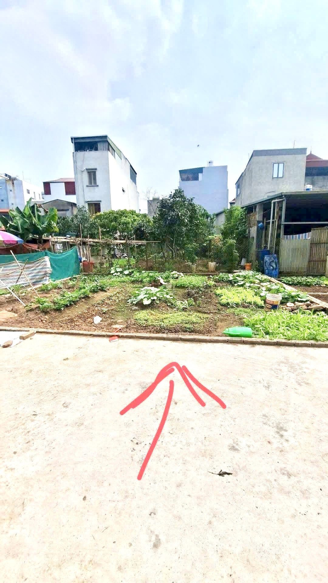 Chủ vỡ nợ bán gấp đất Cổ Loa Đông Anh giá 2 tỷ 8
