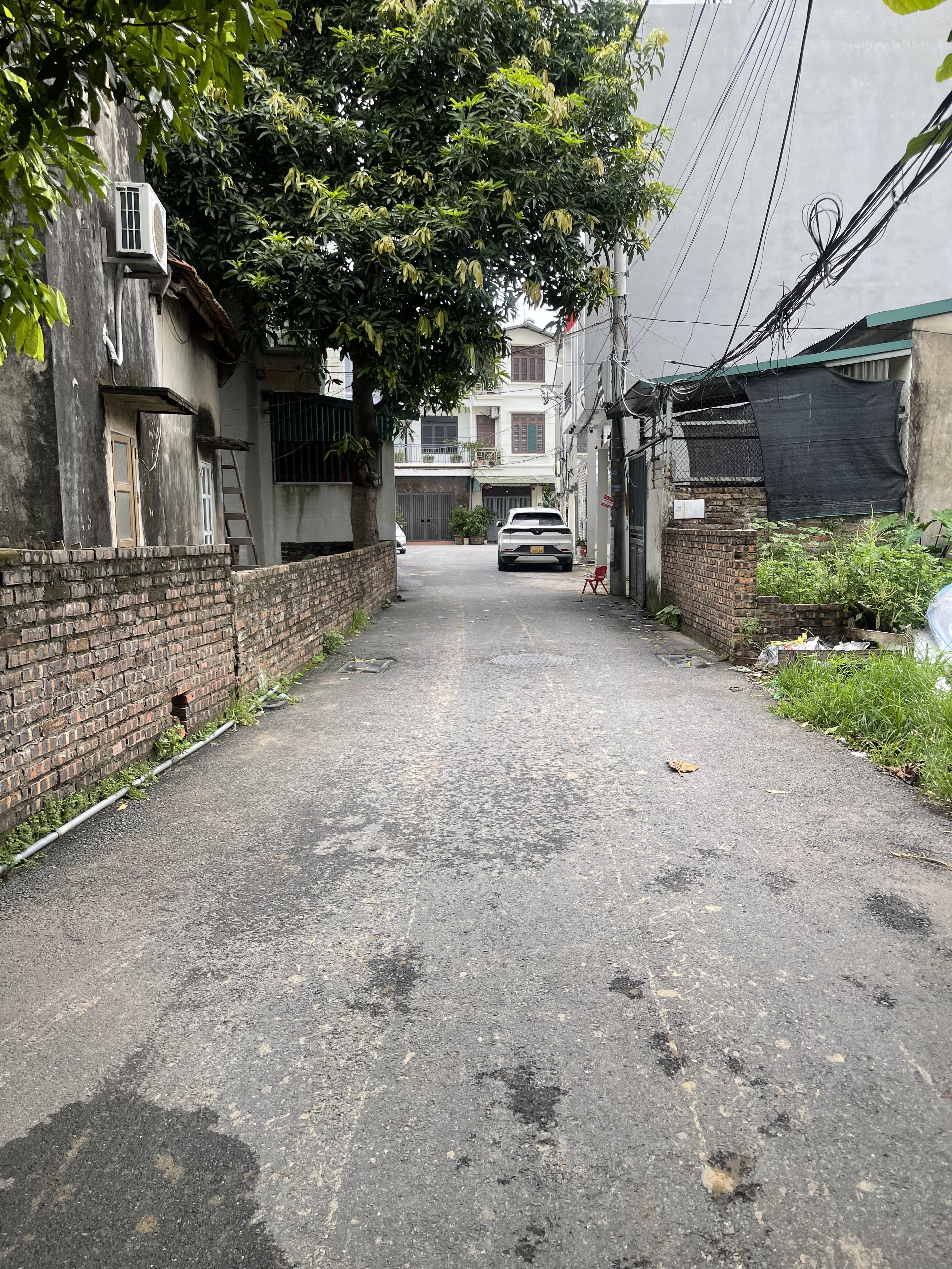 🏡 CHỦ NHÀ GỬI BÁN LÔ ĐẤT ĐẸP XUÂN CANH – GIÁ CỰC TỐT 🏡