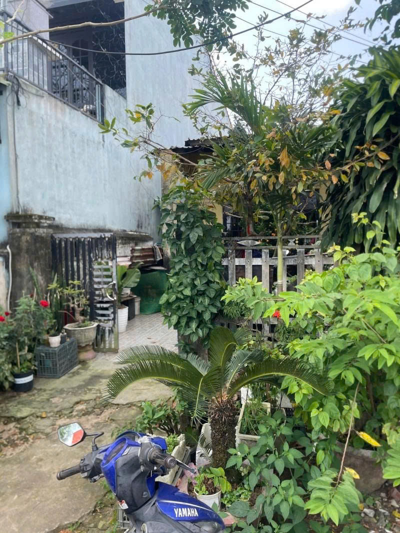 📌📌📌LÀM VIỆC TRỰC TIẾP GIÁ TỐT !!! Bán đất Cù Chính Lan, Thanh Hà, Hội An