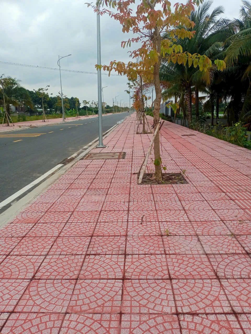 Bán đất 662.1m² full thổ cư ngang 29.2m giá 4.83 tỷ mặt tiền Đường D1 Xã Long Hồ