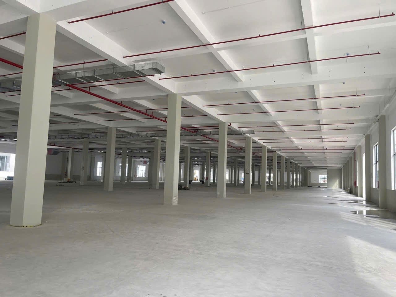 Cho thuê xưởng 20.000m² KCN Bàu Bàng, Bình Dương