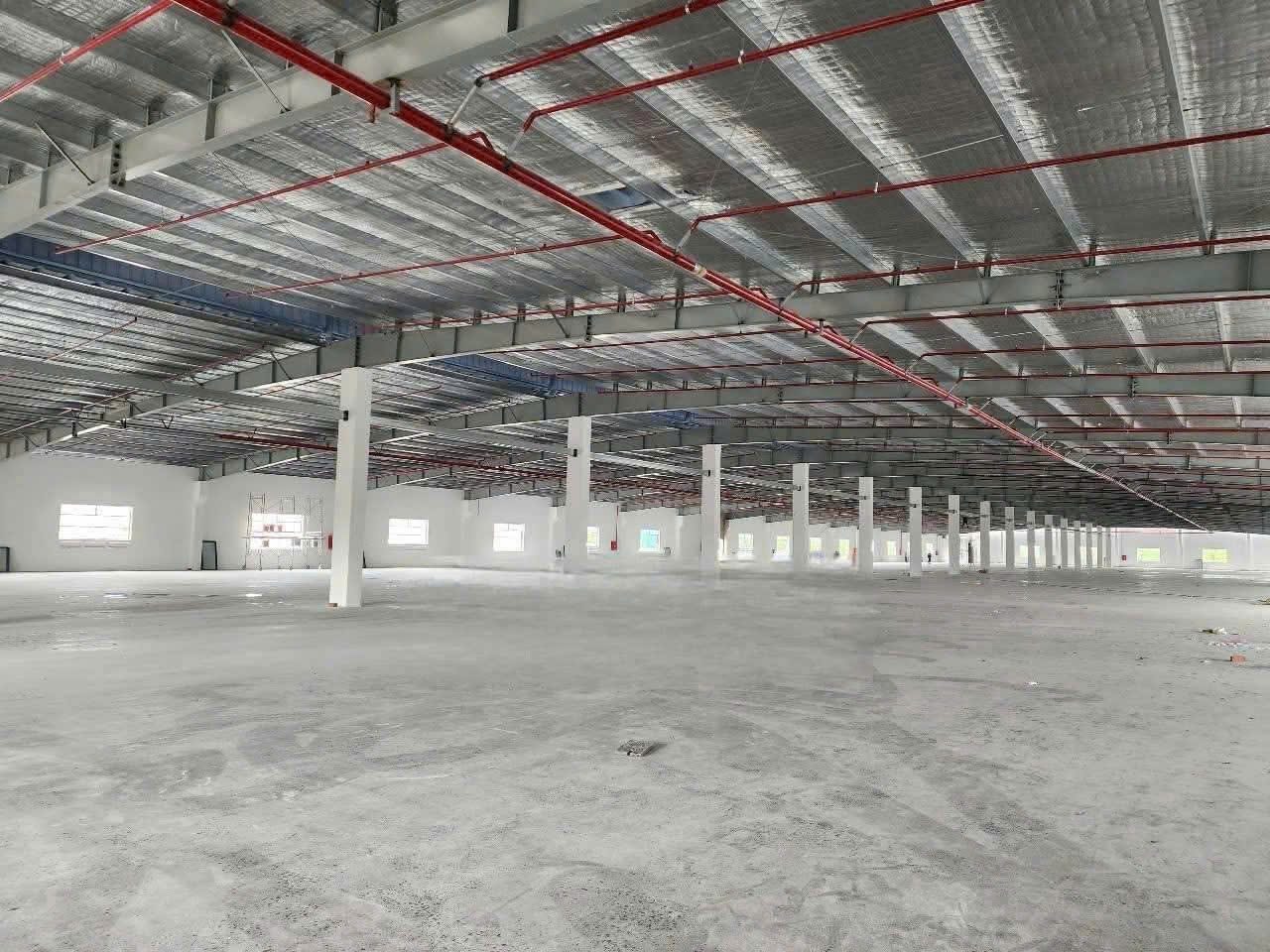 Hình 3