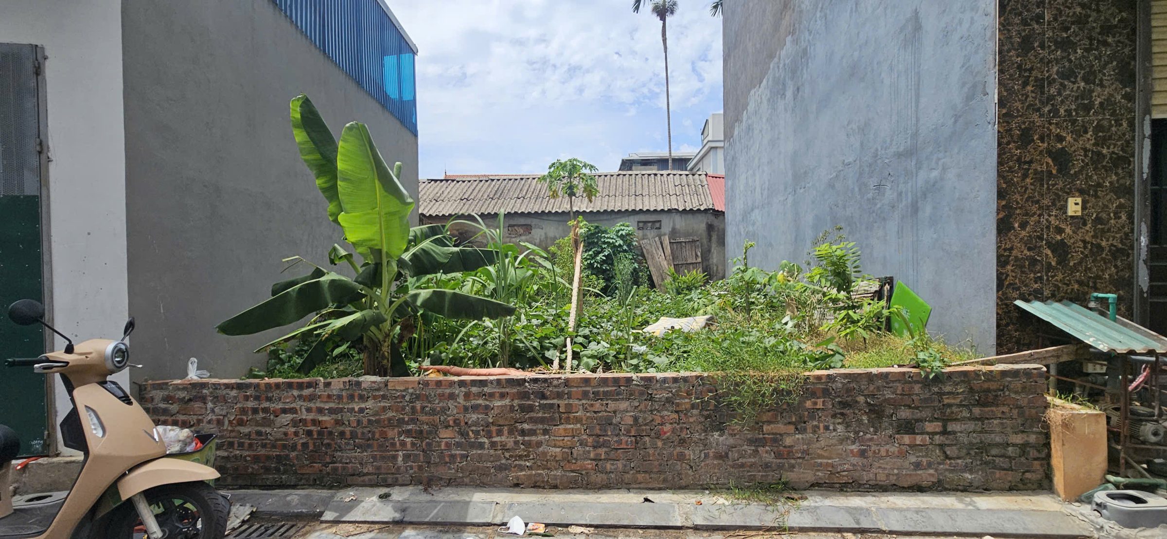 🔥 🎗Đất Vàng 56,2m2 Thôn Bầu, Kim Chung – Ngõ 4m ô tô 🚘 ra vào – Dân Cư Sầm Uất