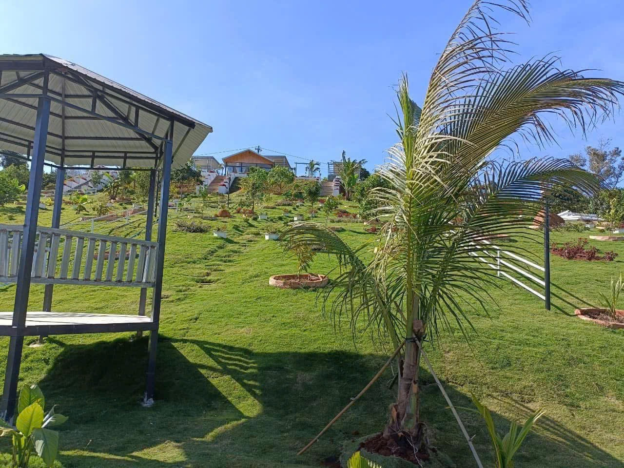 Liên Tục Xoay Vòng Không kịp Đành Ngầm Ngụi cắt Lỗ sạch miếng 1300m2 Giá 401tr