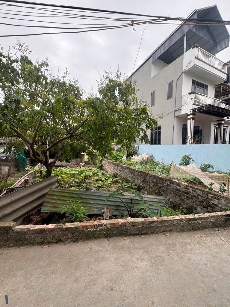 SỐC ! CHỦ ĐUỐI HẠ 300 TRIỆU
MẢNH ĐẤT ĐẸP TẠI NGỌC HỒI