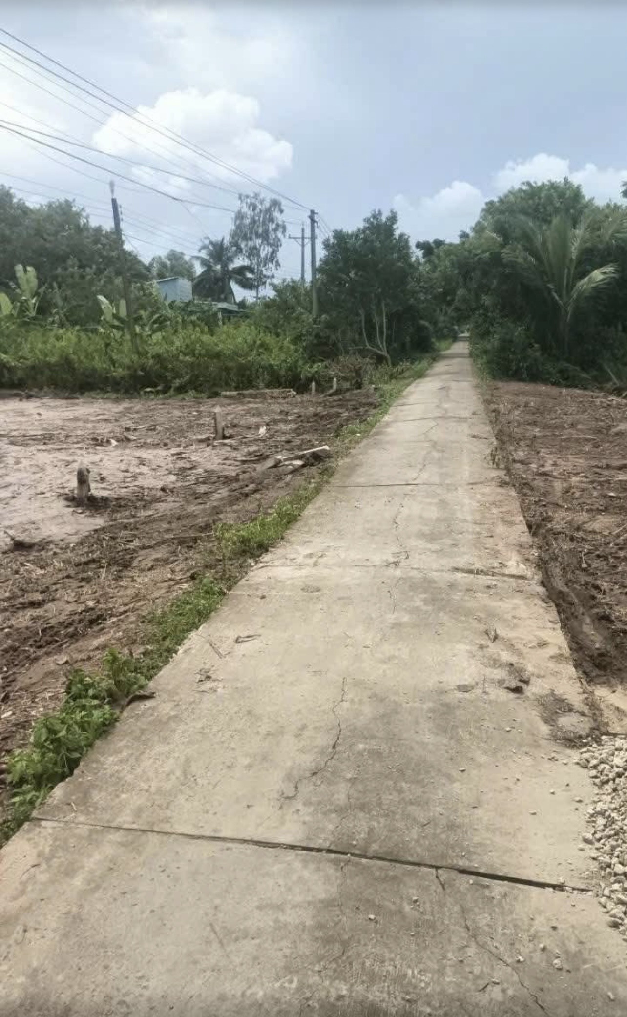 Cần bán 1.700 mét vuông đất có 100 thổ cư 20 m mặt tiền lộ 2 m cách đường lớn 150 m gia 2ty5