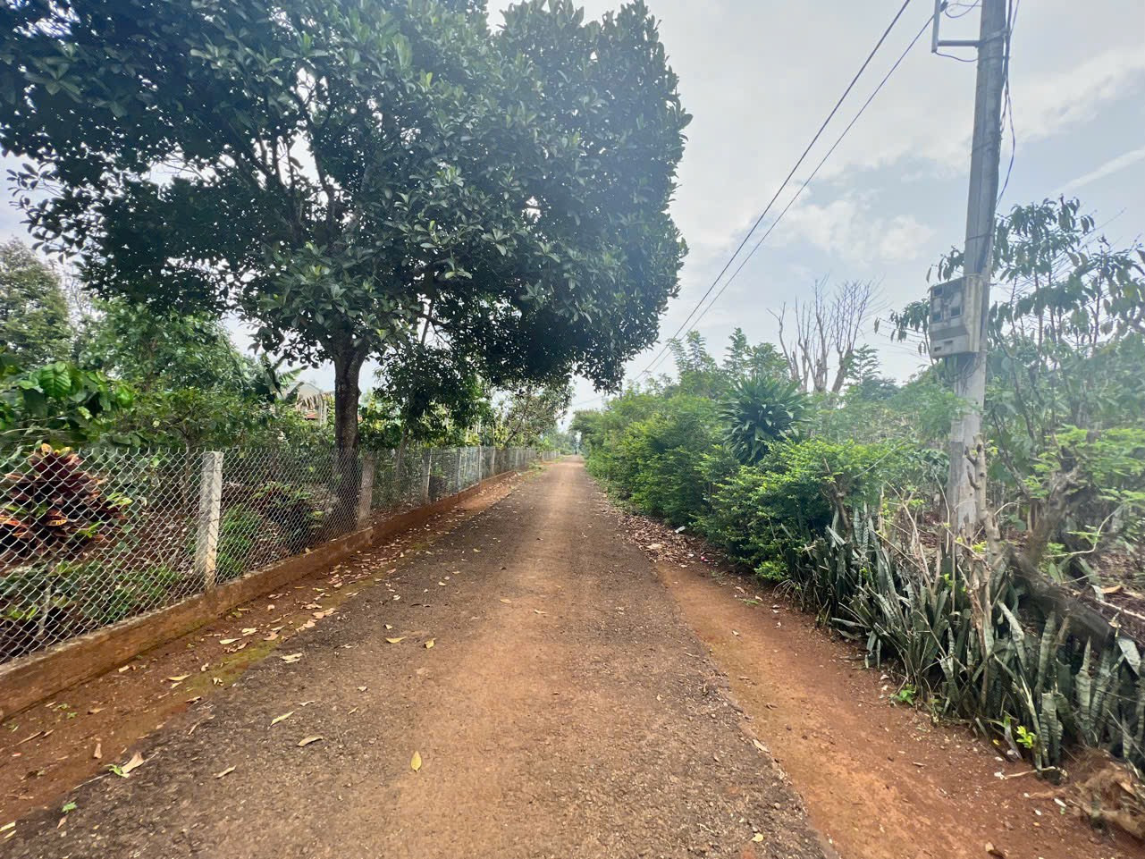 🏡 Đất chân dài Biển Hồ - hẻm Đào Duy Từ