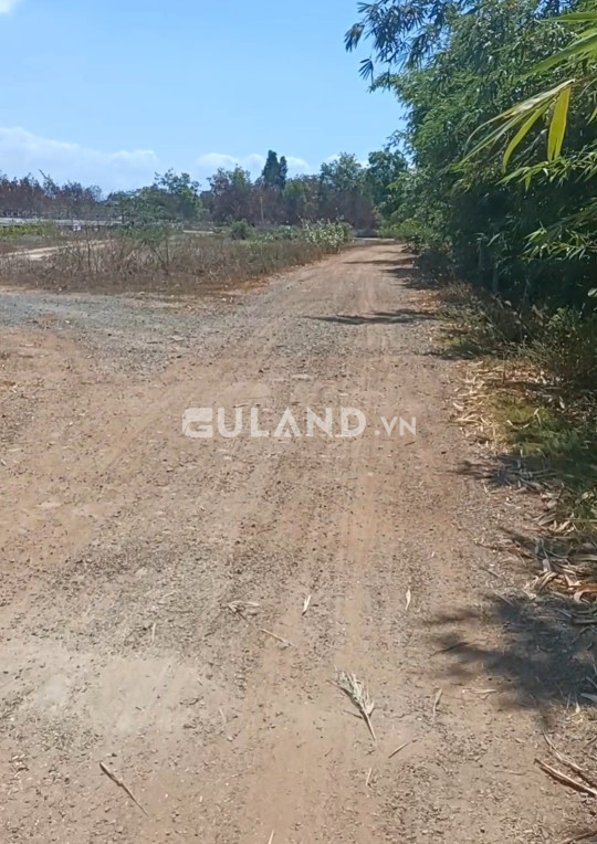 Bán đất 24558m² ngang 146m giá 5 tỷ tại Xã Thắng Hải Huyện Hàm Tân