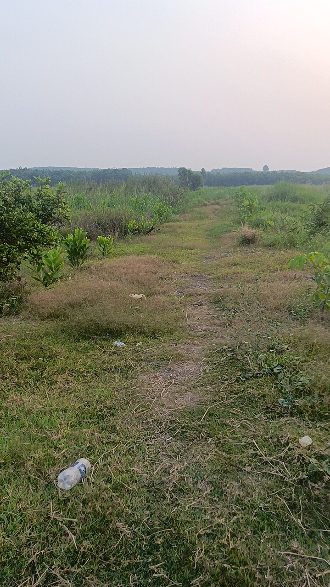 2ha7 Đất Tân Tiến, tp Đồng Nai. Gần nguồn nước. Giá mềm bao tranh chấp, chưa sổ. Giá 1ty5 toàn bộ. 0987117454