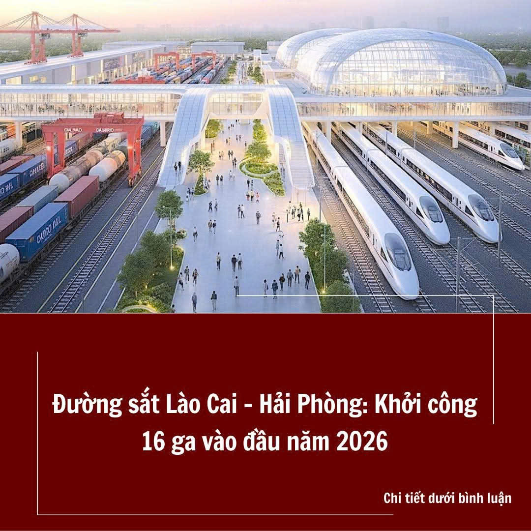 🚀 SALE MẠNH
🔥 SIÊU PHẨM KIẾN THỤY – MUA 1 LÔ, TƯƠNG LAI 2