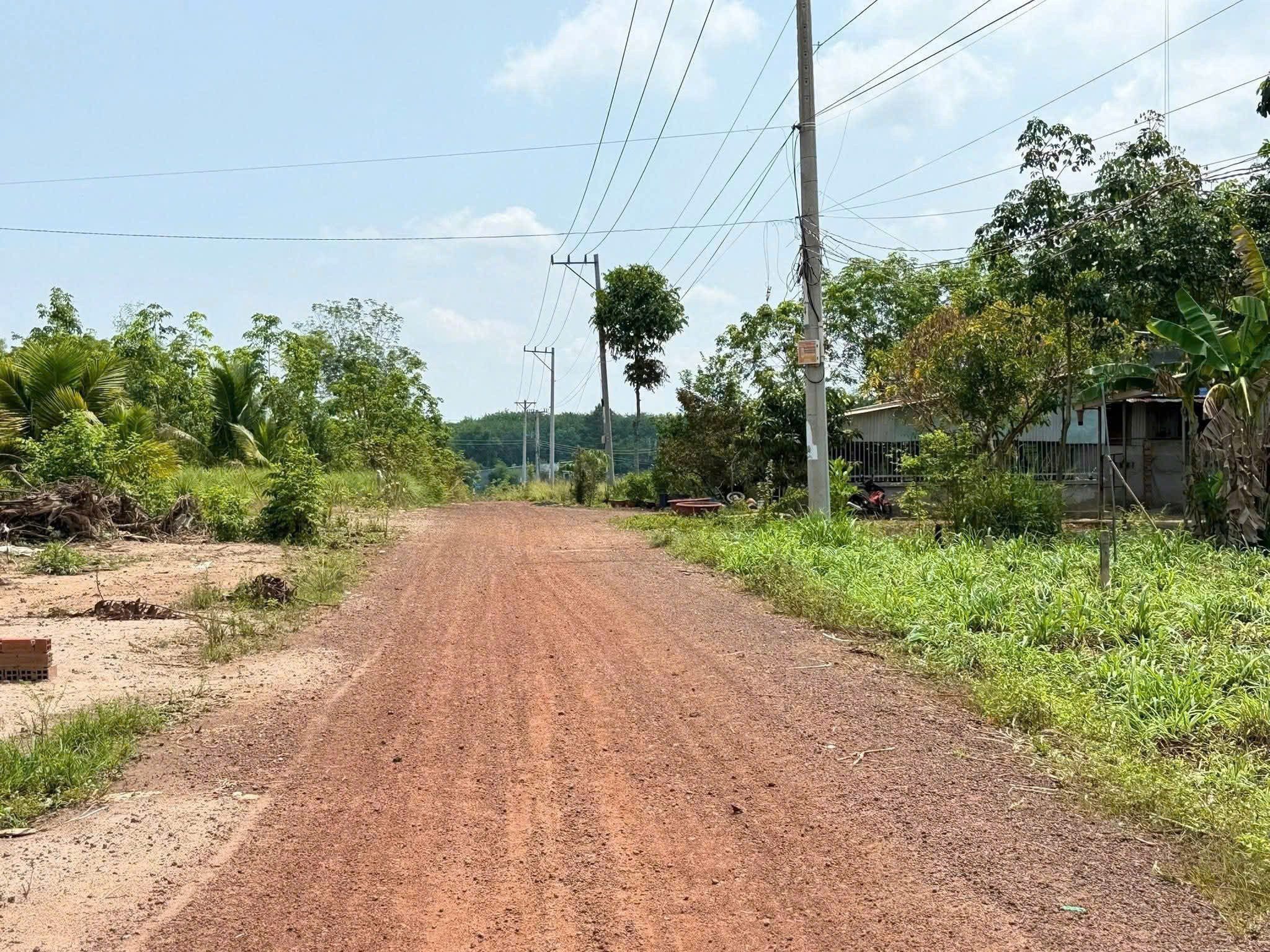 Chủ gửi bán lô đất sào - 1.572m2