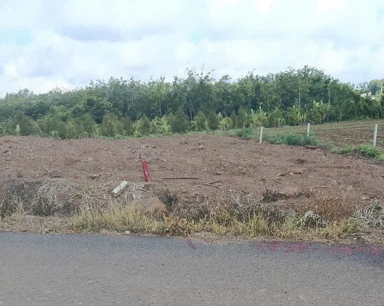 Bán lô đất sào cạnh KCN - 1.100m2