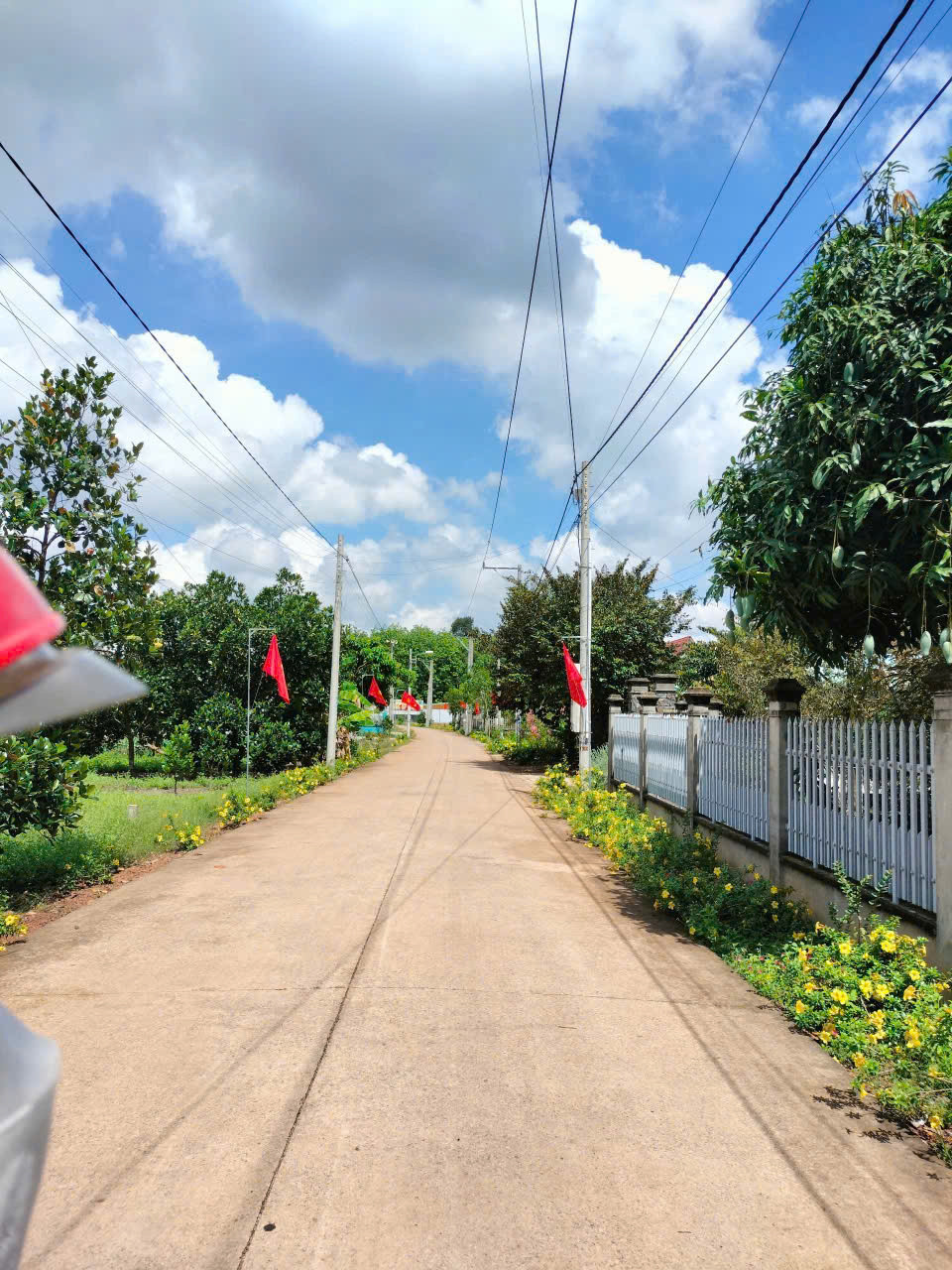 Đất TPHCM - 300m2 + 100mtc đối diện chợ đi vào đúng 50m, đứng ở đất nhìn ra đường huyện DH507