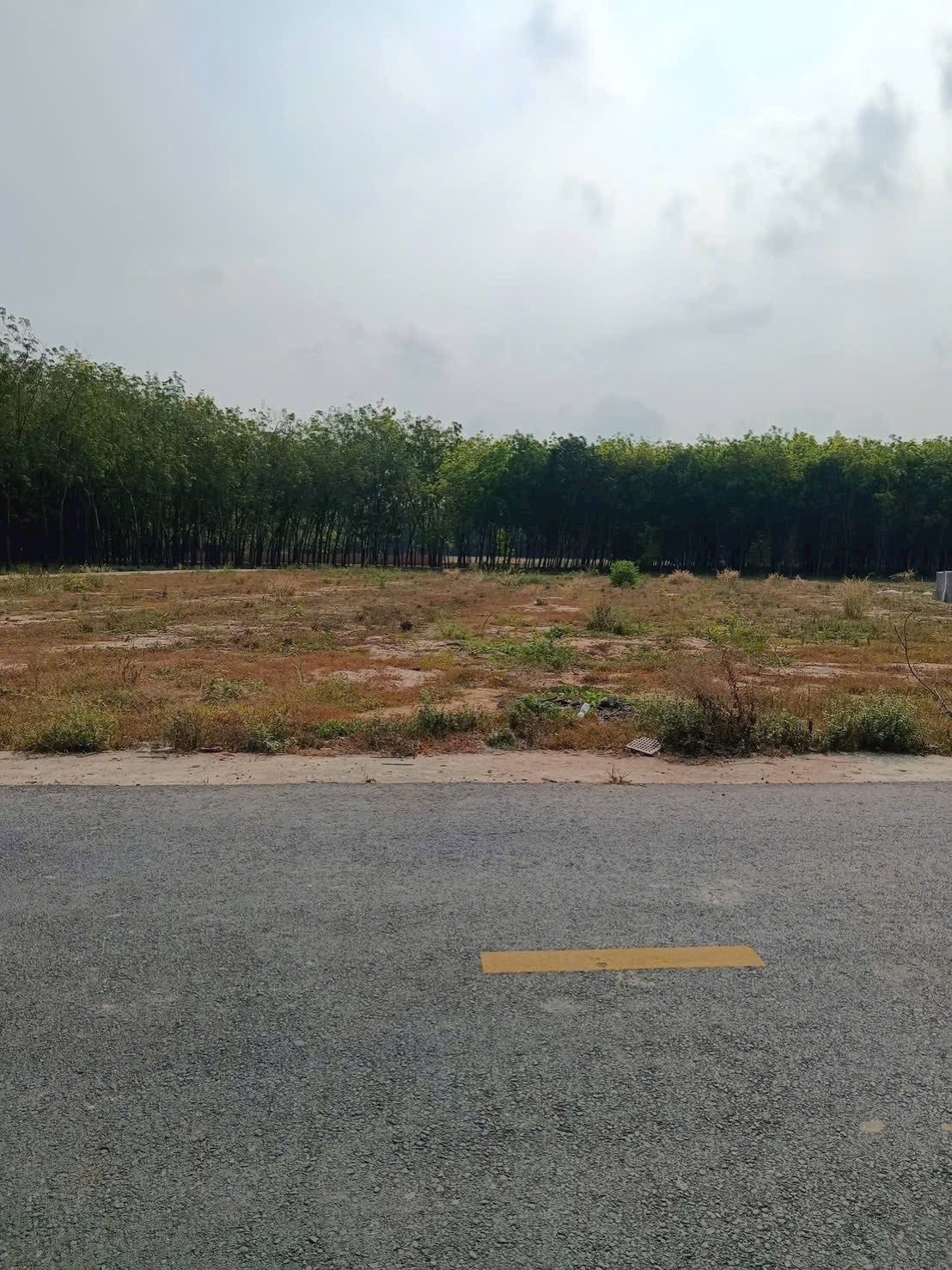 🚀 600TR SỞ HỮU NGAY – ĐẤT HCM – 800M² – KCN TRƯỚC MẶT 🏭