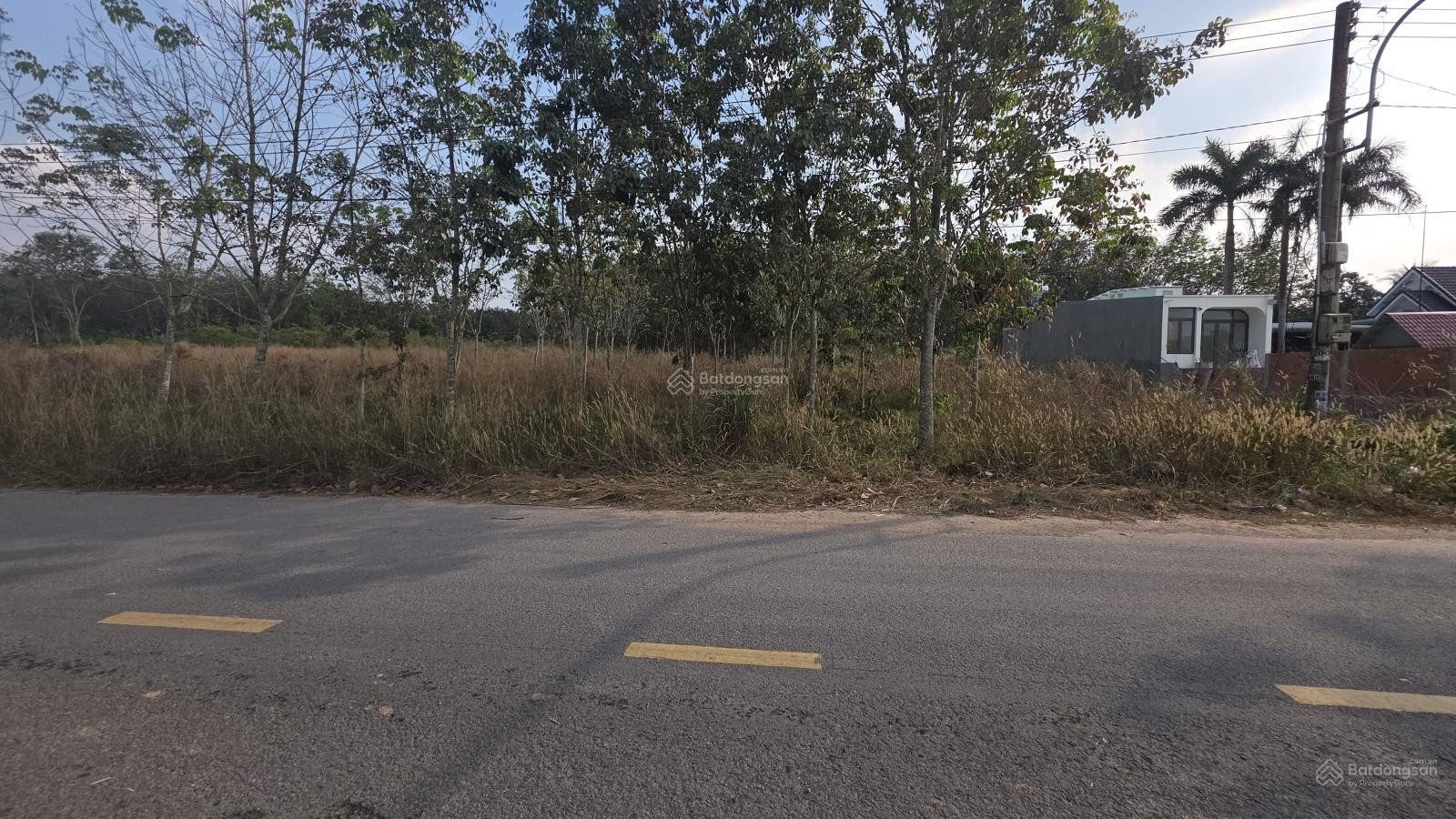 Bán đất tại mặt tiền DH619, 4,5 tỷ TL, DT đất 1.620m2 có 300m2 đất XD, pháp lý đầy đủ.