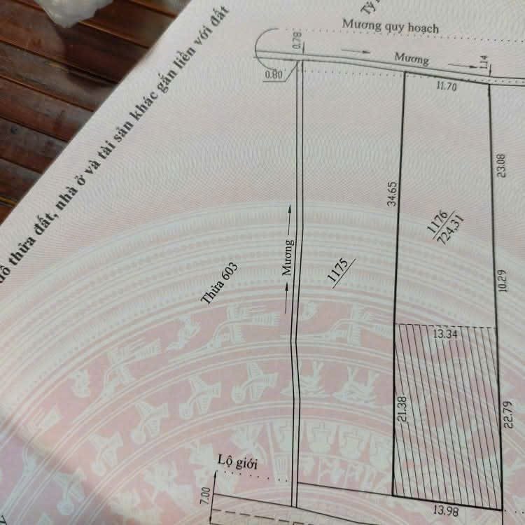 Lô đất ngay trung tâm P7- Đà Lạt- 724m - Đinh Công Tráng- giá tốt 30 tỷ 5- 🏠ngay trung tâm tp