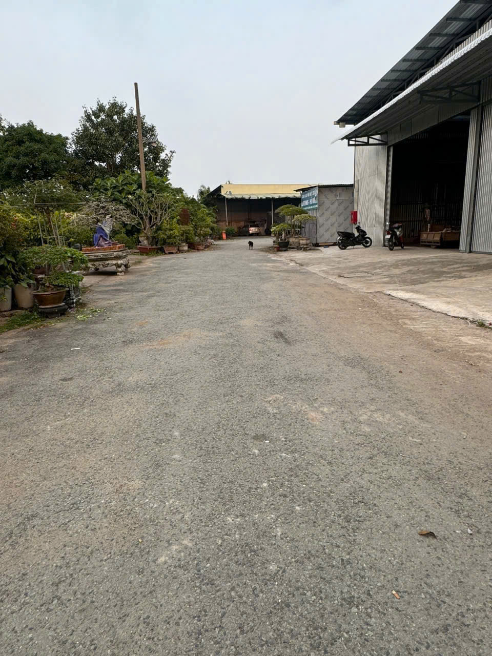 Cho thuê Kho giá rẻ đường Đinh Đức Thiện Bình Chánh 2000m2 giá 120tr