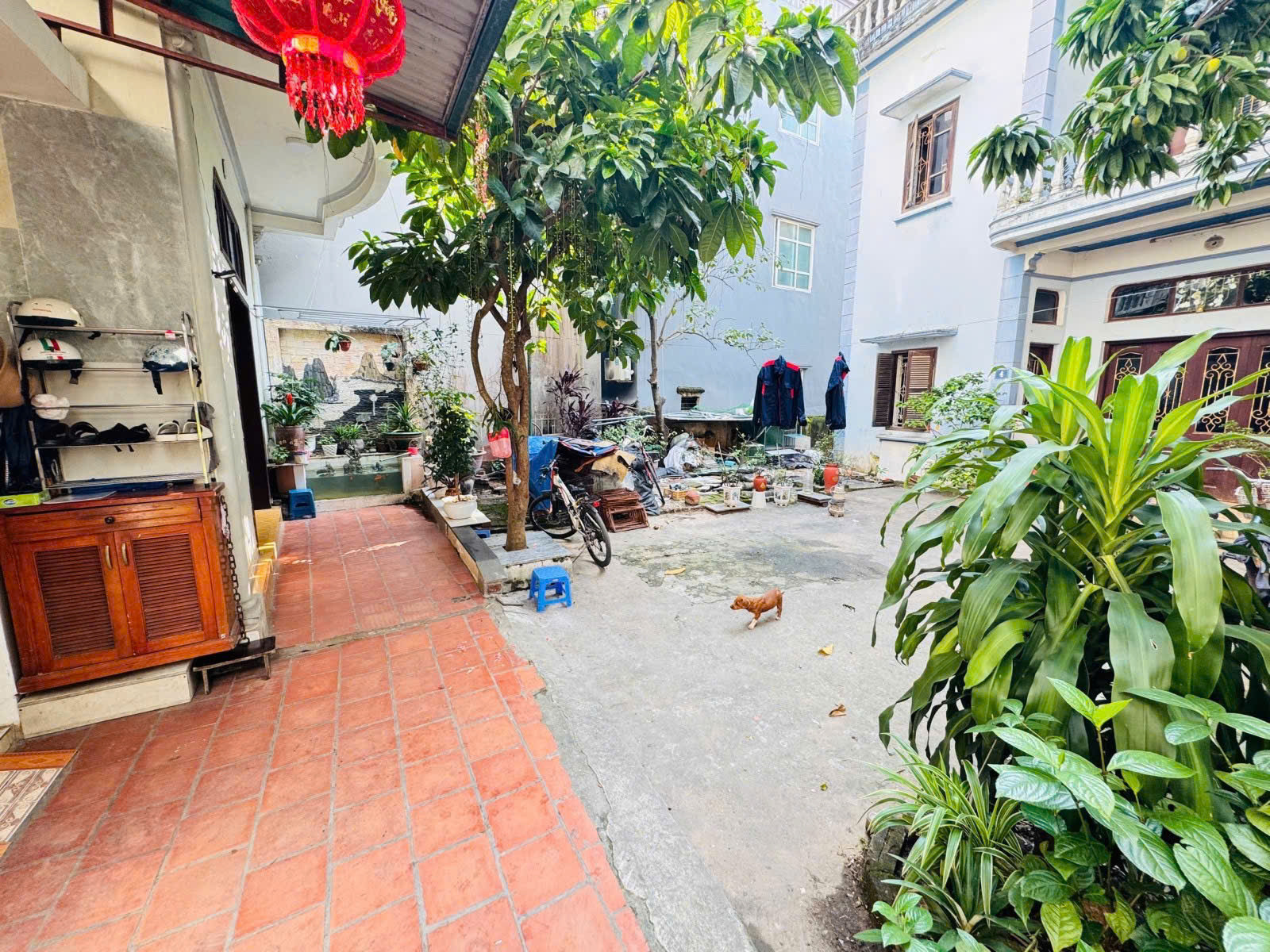 Bán đất phố lộc xuân đỉnh, ô tô tránh trước cổng 52m, mt 5m 0855169868