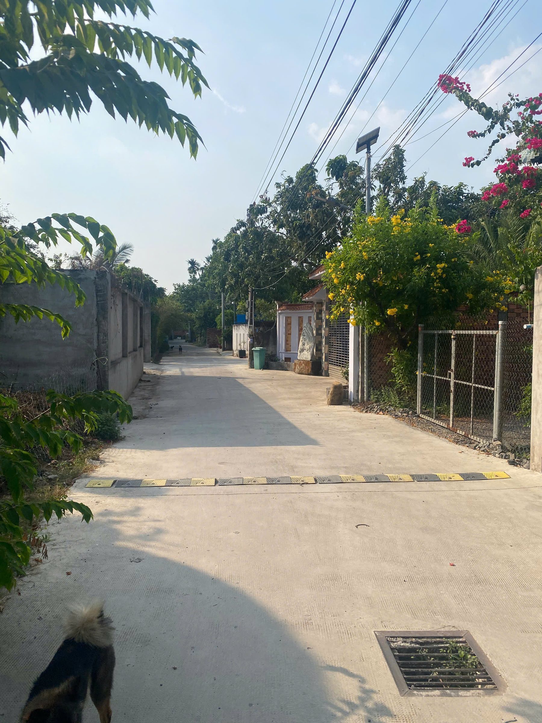 Cần bán cặp đất Cù Lao Hiệp Hòa sổ riêng thổ cư, không dính quy hoạch xây dựng tự do