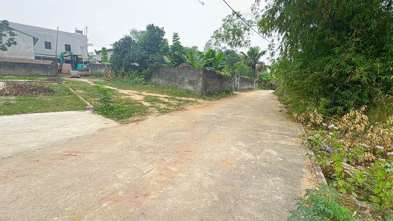 Bán đất