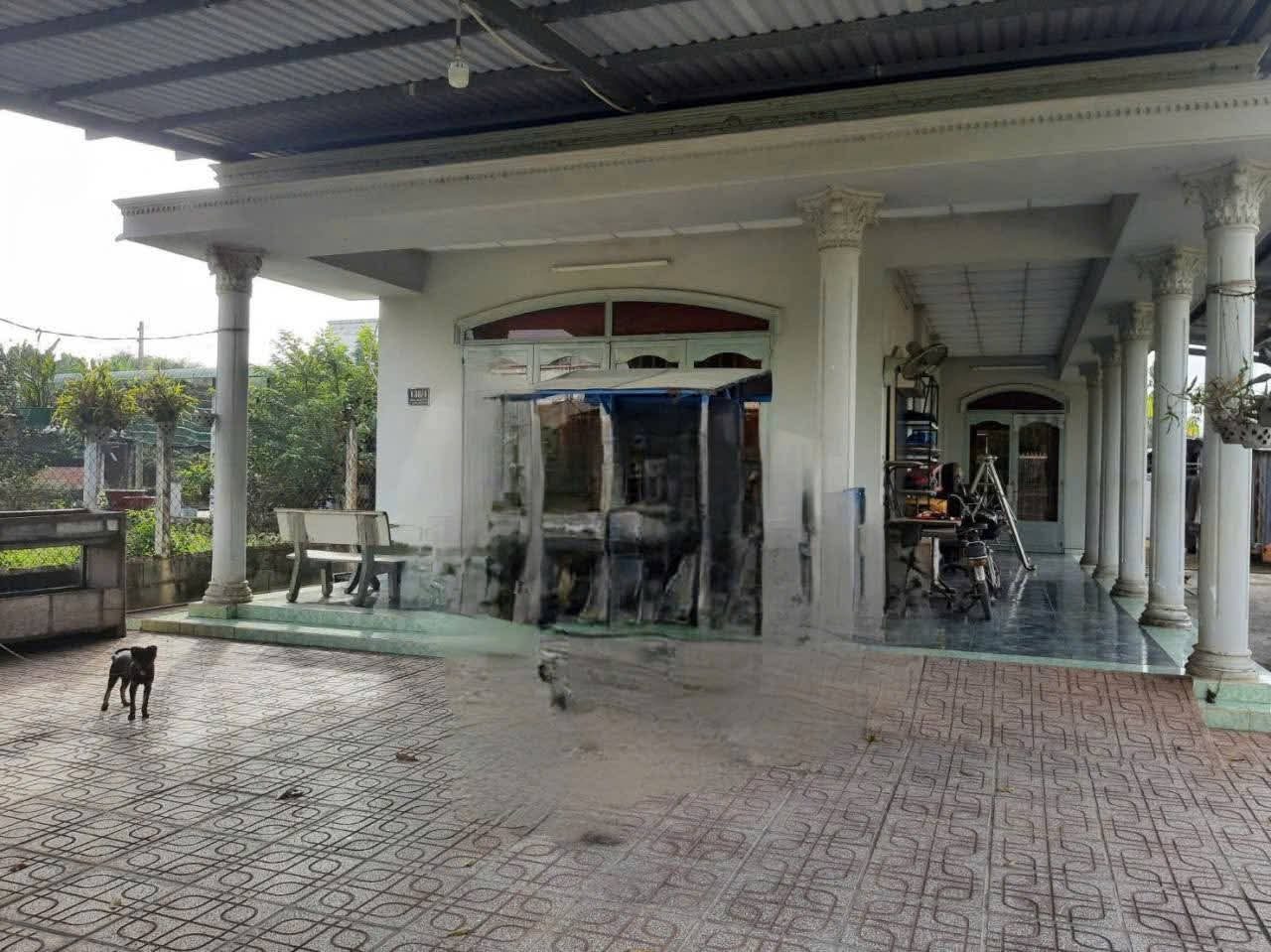 Bán nhà vườn mặt tiền nhựa xã Thái Mỹ Củ Chi TPHCM, DT: 12x31m.