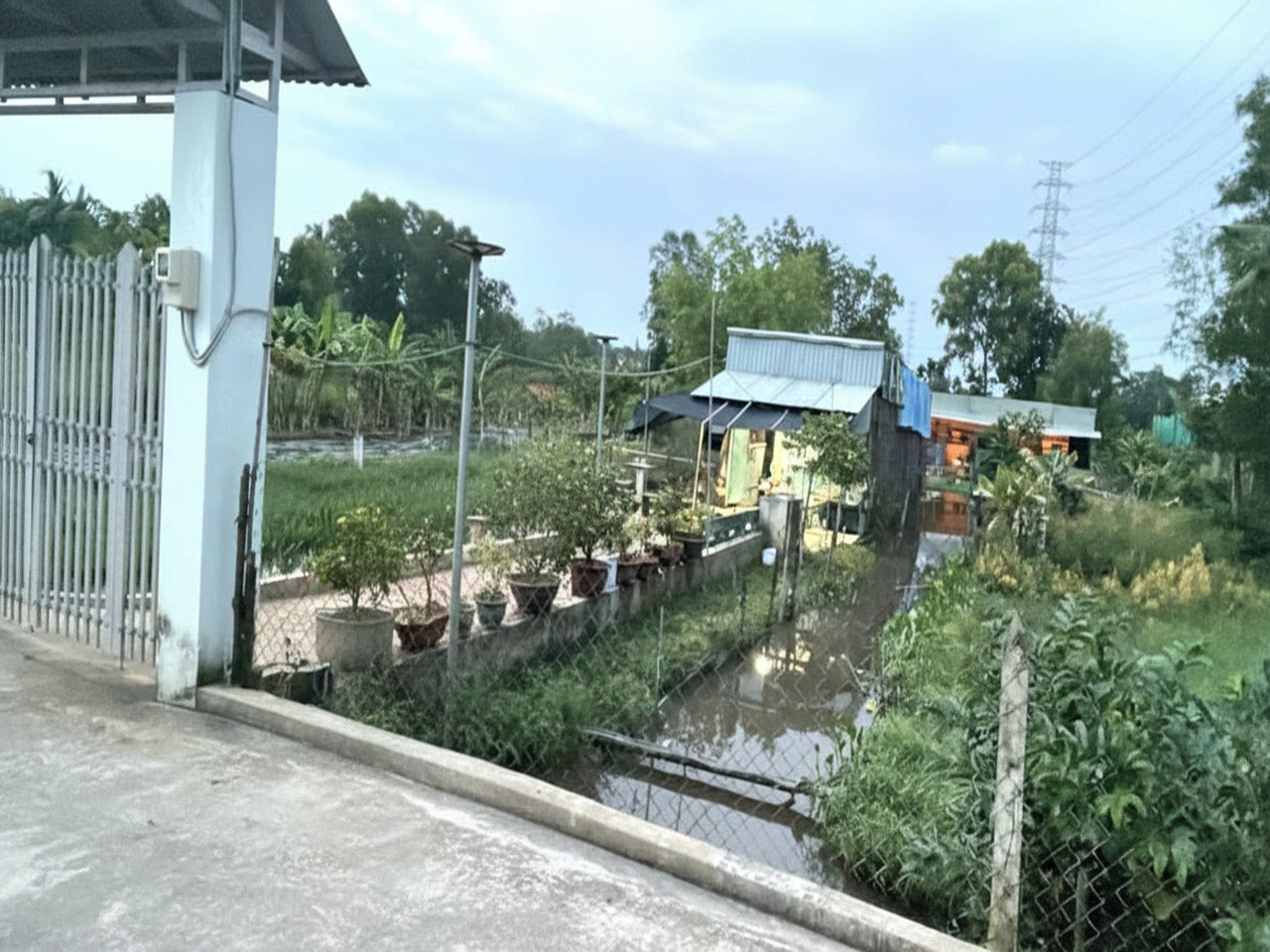 Đất Vuông SHR HXH 2798m2 – Đông Thạnh 2 Hóc Môn