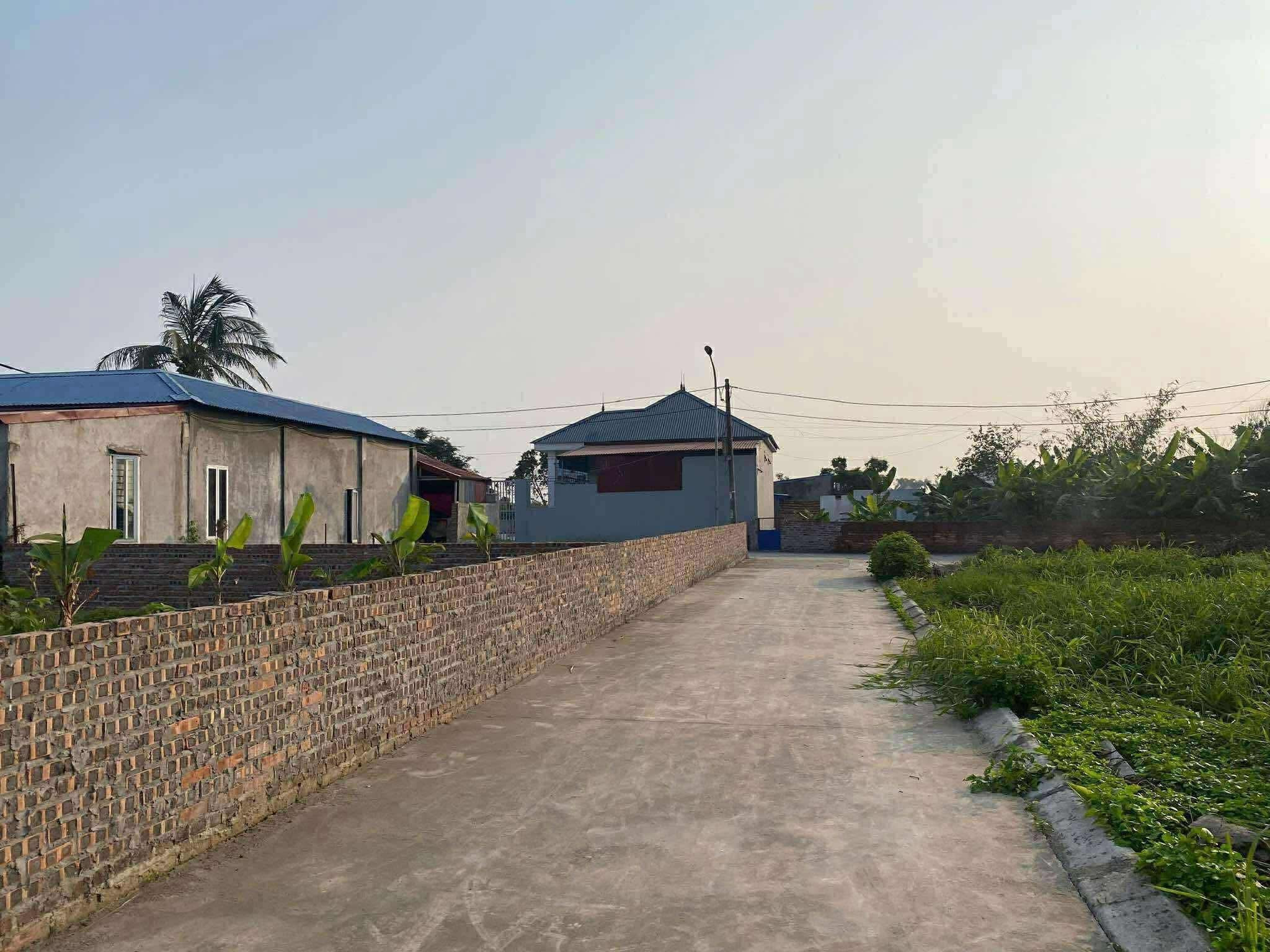 Đường oto