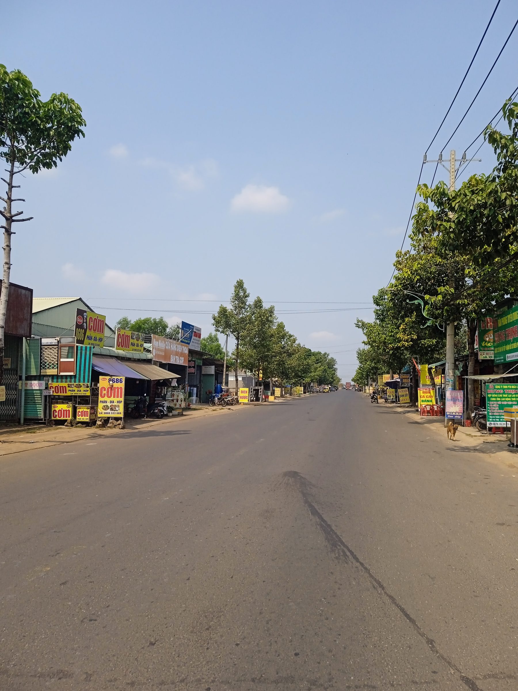 Đất chính chủ