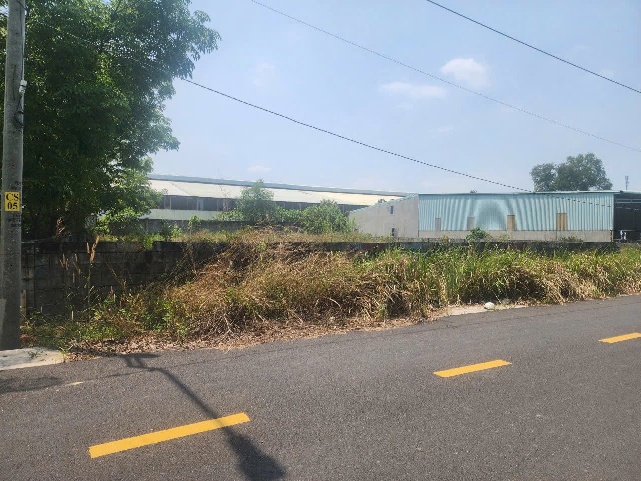 Cần bán đất cạnh chợ Chánh Lưu