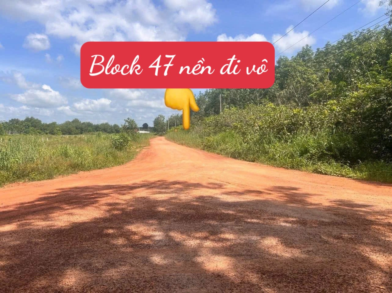 Tài chính nho nhỏ, mua đất Rộng rãi